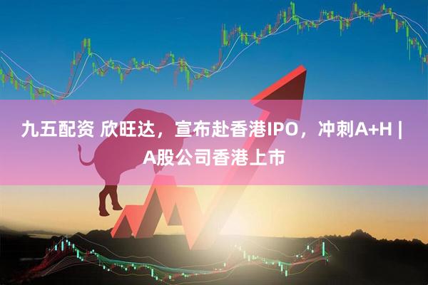 九五配资 欣旺达，宣布赴香港IPO，冲刺A+H | A股公司香港上市