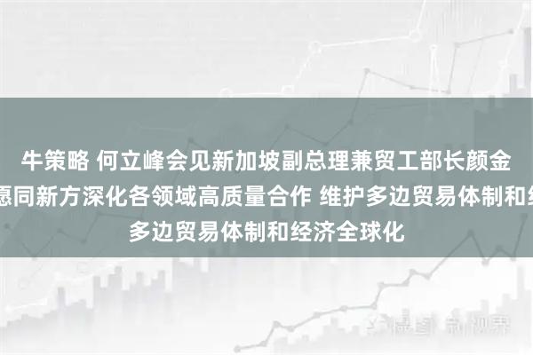 牛策略 何立峰会见新加坡副总理兼贸工部长颜金勇时指出 愿同新方深化各领域高质量合作 维护多边贸易体制和经济全球化